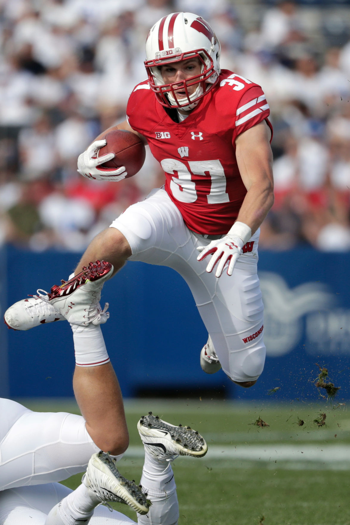 Badgers vs. Cougars